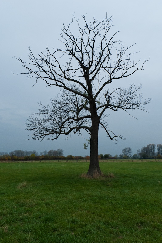 l1000656